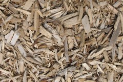 biomass boilers Latheron